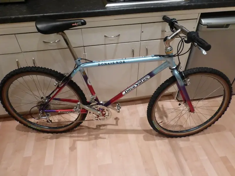 New Stem 1.webp