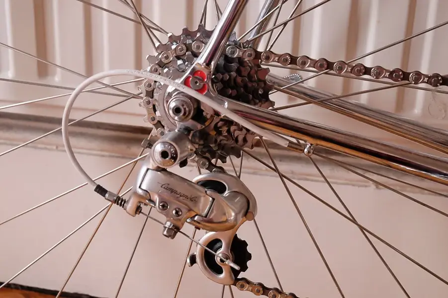 DSCF9755.webp