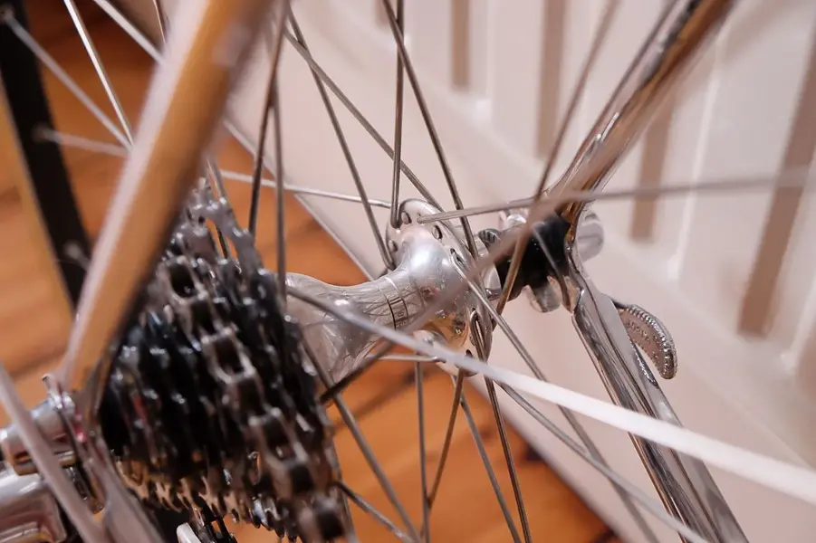 DSCF9764.webp