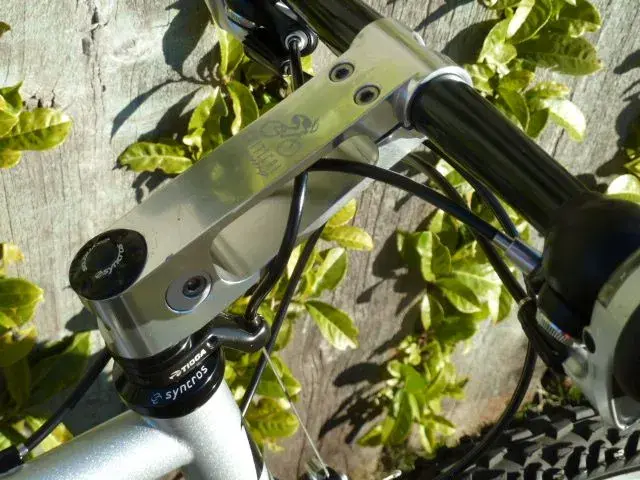 Brodie Custom1 011.webp