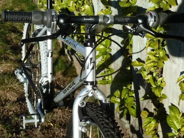 Brodie Custom1 003.webp