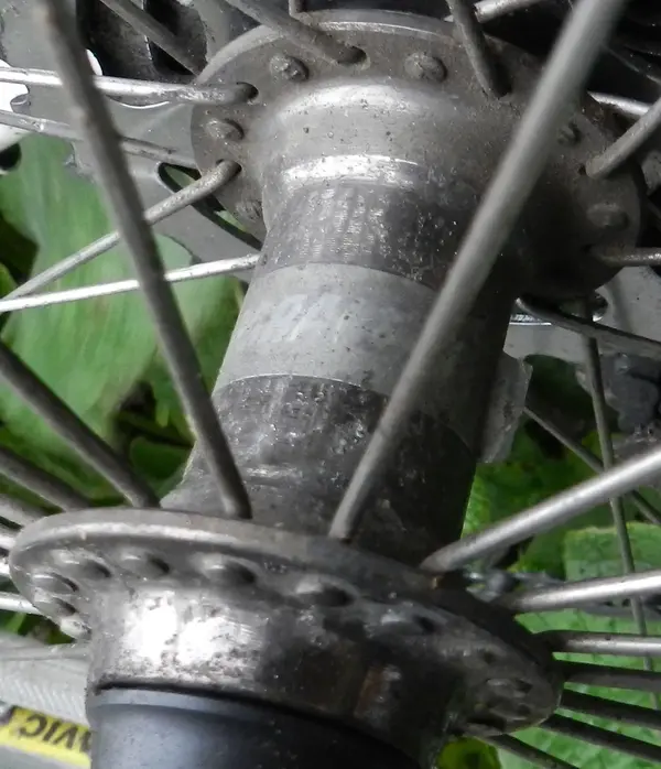 DSCN4474 Cut.webp
