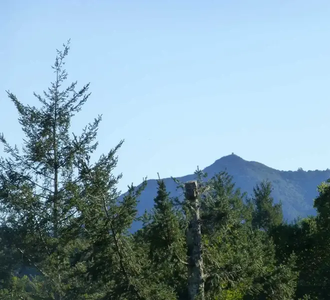 Our Mountain.webp