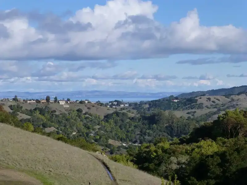 North Bay View.webp