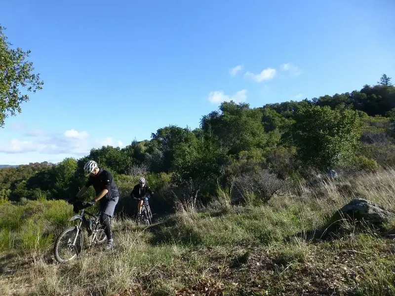 Top of the first climb.webp