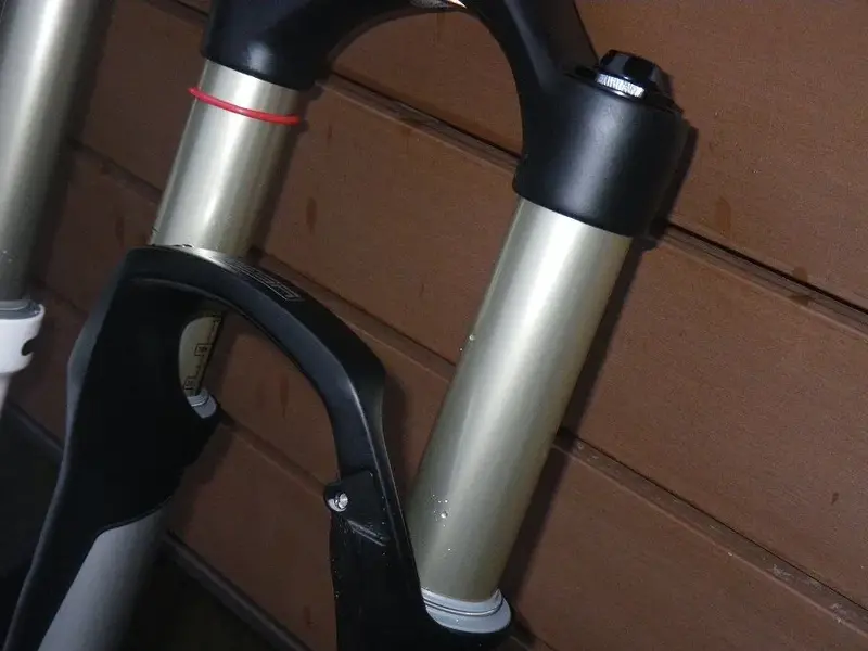 IMGP1325.webp