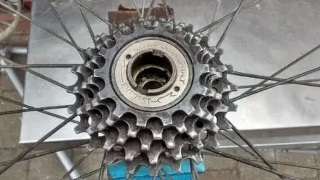 Everest freewheel.webp