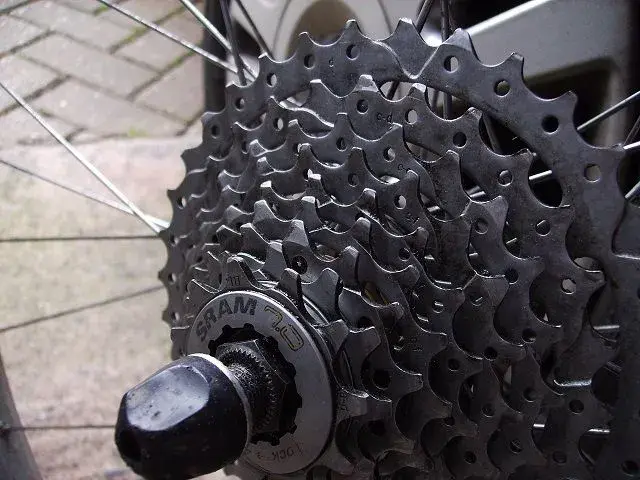 XTR plus bits 012.webp