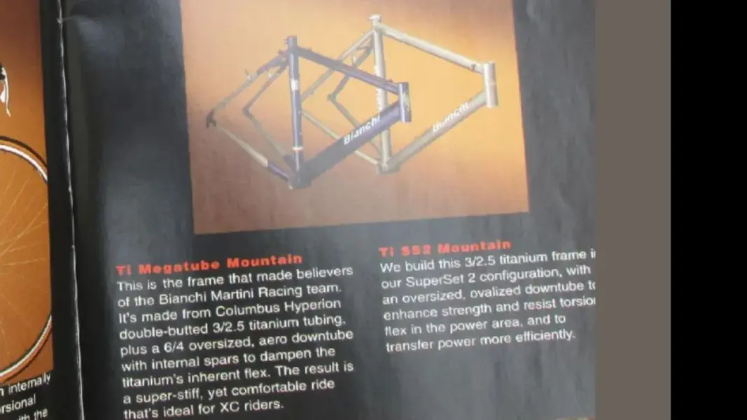 catalog scan1.webp