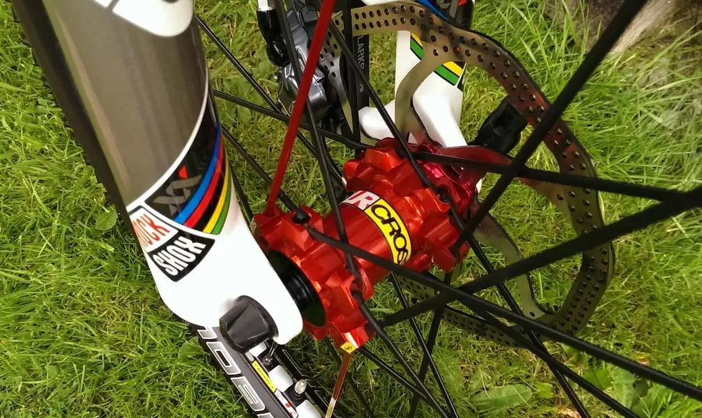 T13.webp