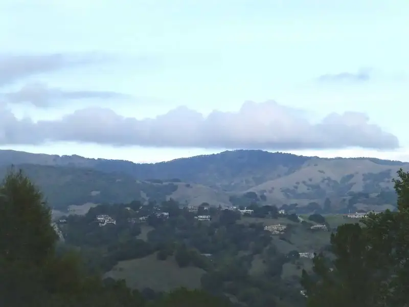 In the Fairfax hills.webp
