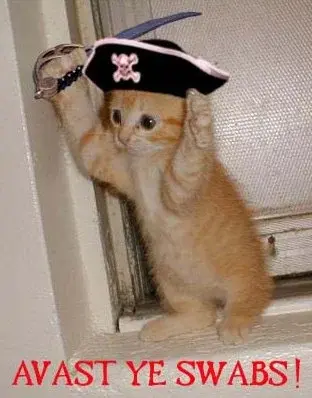 kitty.webp