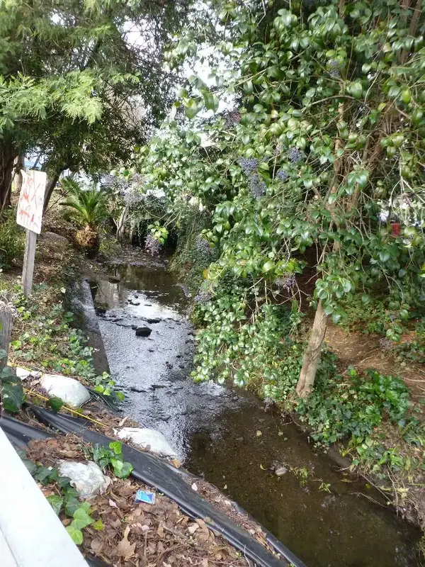 San Rafael creek.webp