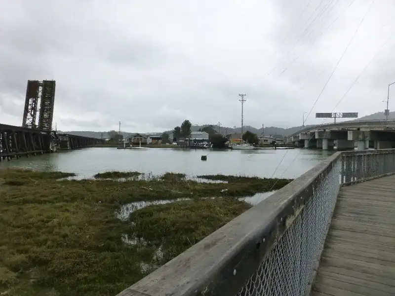 By the Bay.webp