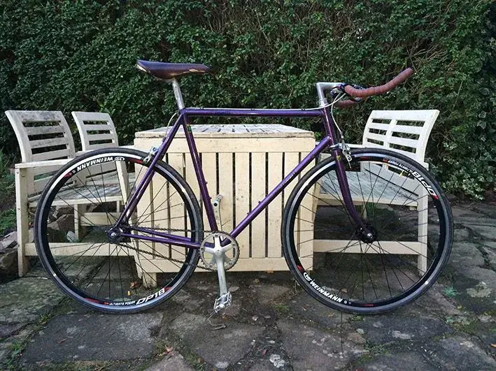 Fixie.webp
