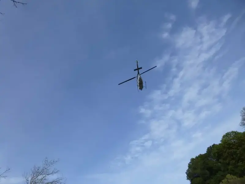 Heli overhead.webp