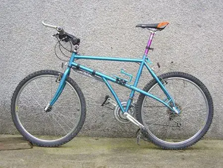 Mt_bike_sm.webp