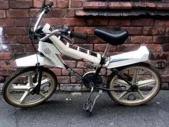 Raleigh Vectar.webp