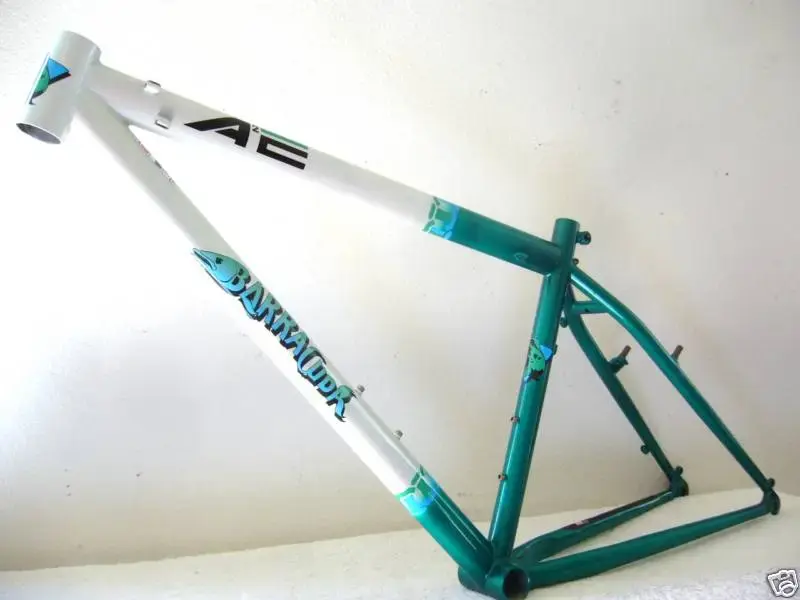 Barracuda A2E.webp