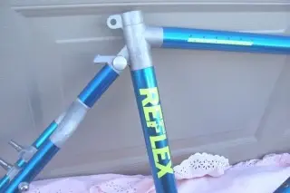 reflex1b.webp
