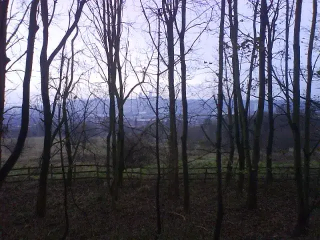 lincolninthemist.webp