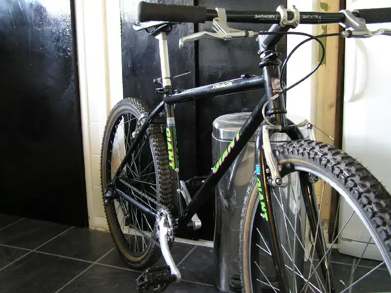 gianttrack!12 008 (Medium).webp