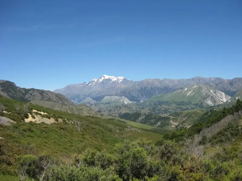 Copy of MoaHunt 2008 003.webp