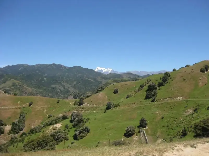 Copy of MoaHunt 2008 006.webp