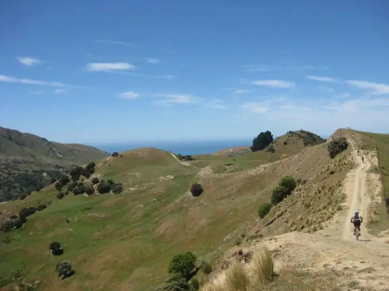 Copy of MoaHunt 2008 005.webp