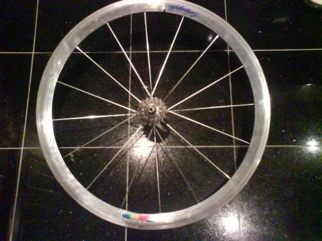 campagnoloshamal.webp