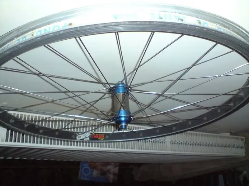 Blue Hope Wheel.webp