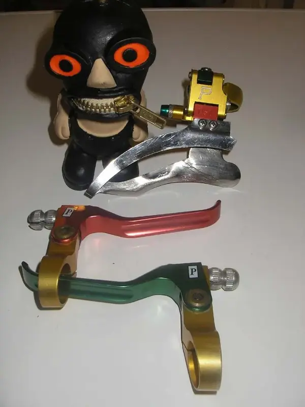 RASTA.webp