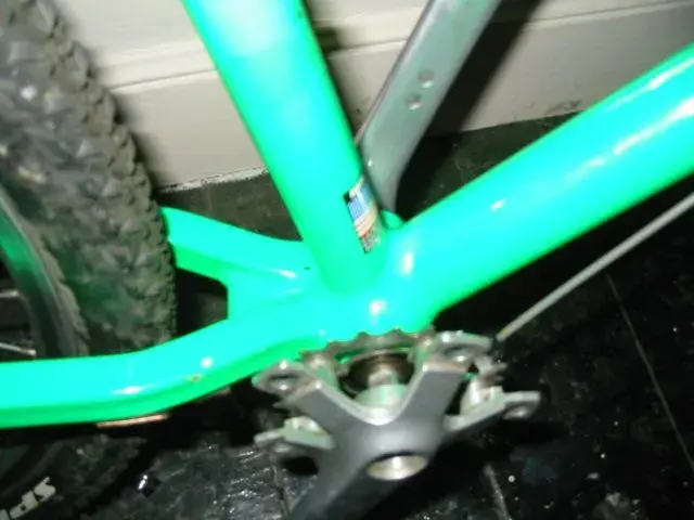 green to black rascal 010.webp
