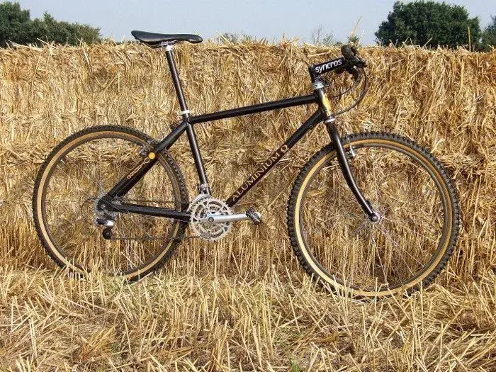 DSCF2793 (700x525).webp