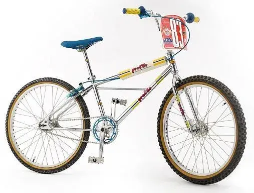 bmx 24.webp