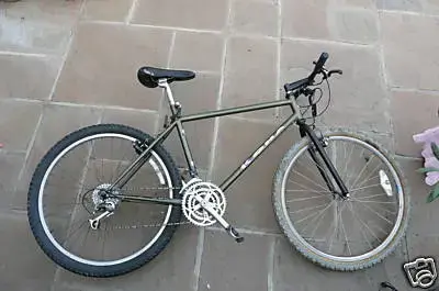 1991 Cinder Cone size 18.webp