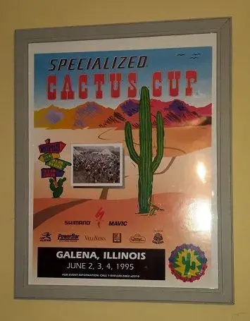 cactus.webp