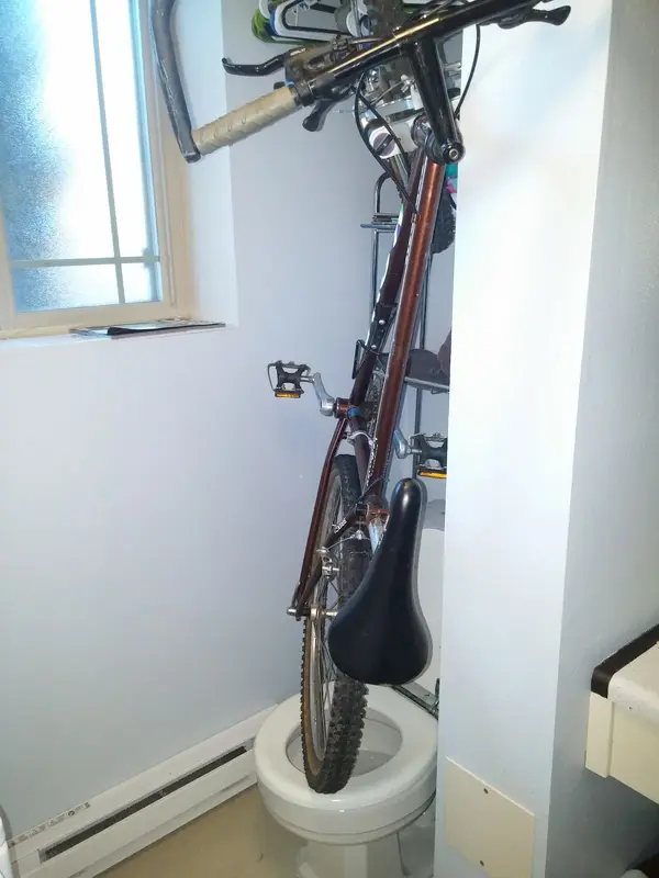 kona turd.webp