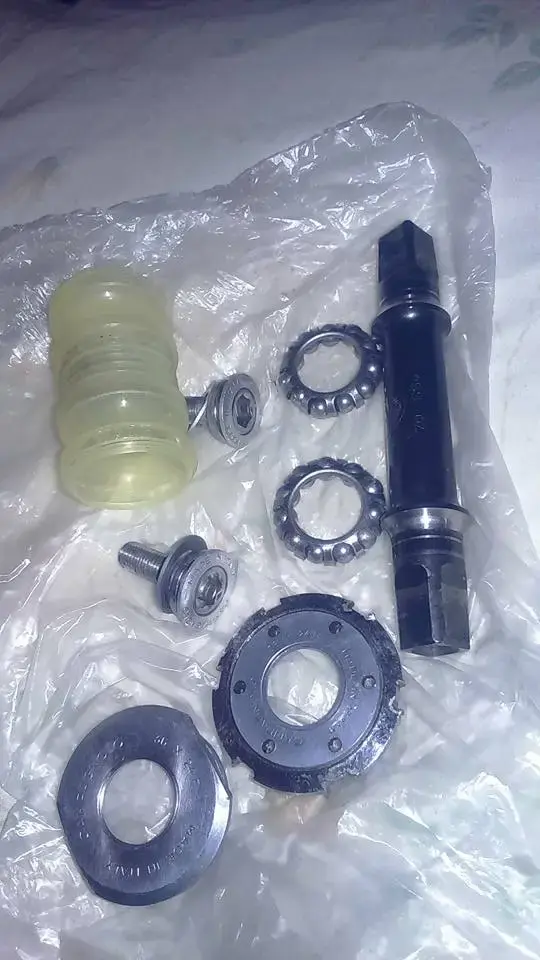 BB Campag.webp