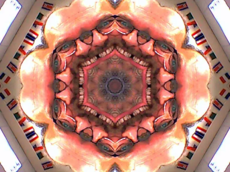 image.webp