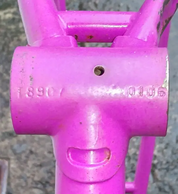 IMAG2591_1.webp