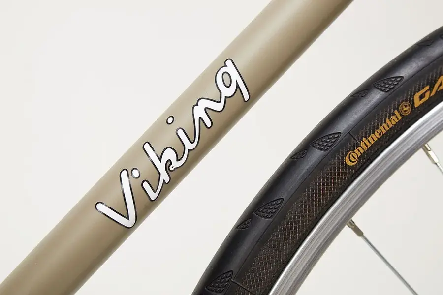 Viking_Bike_Shot1549 copy.webp