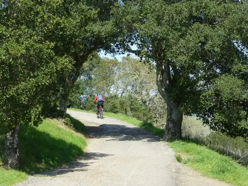 Ridge route.webp
