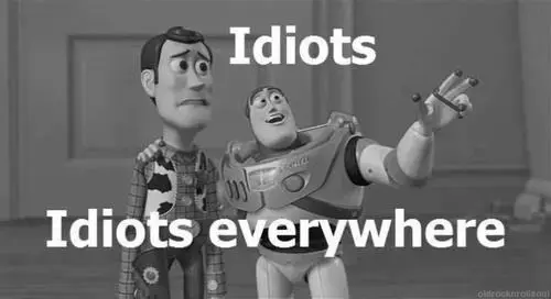 idiot.webp
