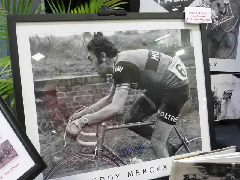 Eddy.webp
