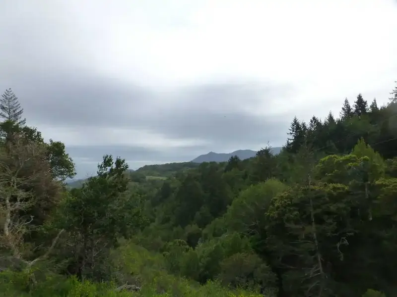 Moody skies over Tam.webp