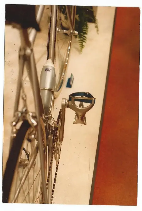 Scan1.webp