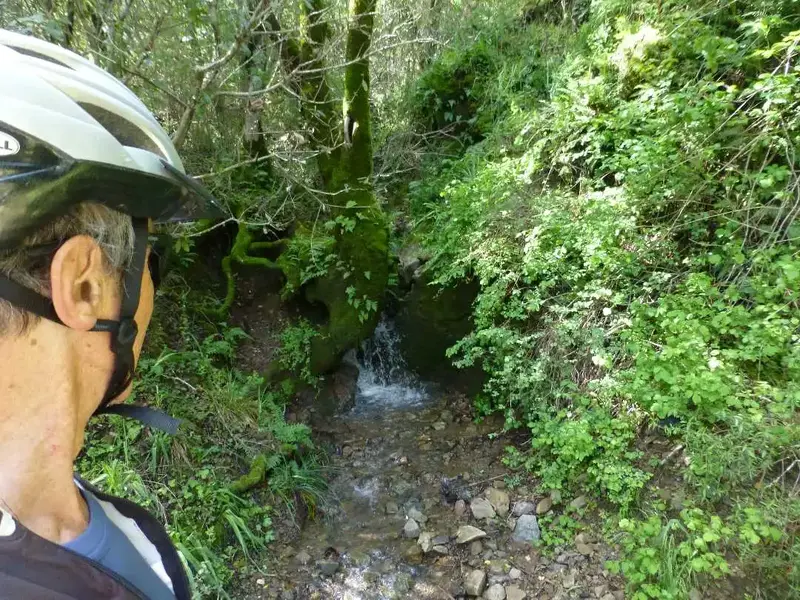 Lots of water everywhere.webp