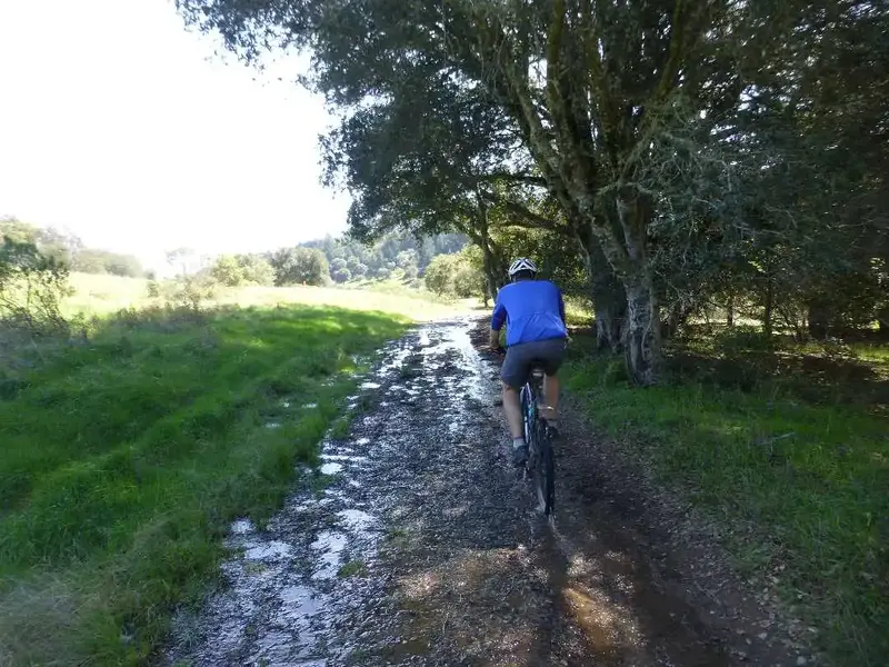 Muddy spot.webp