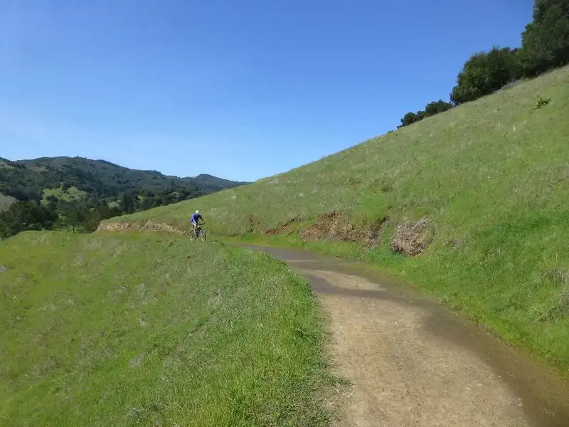 In the hills.webp